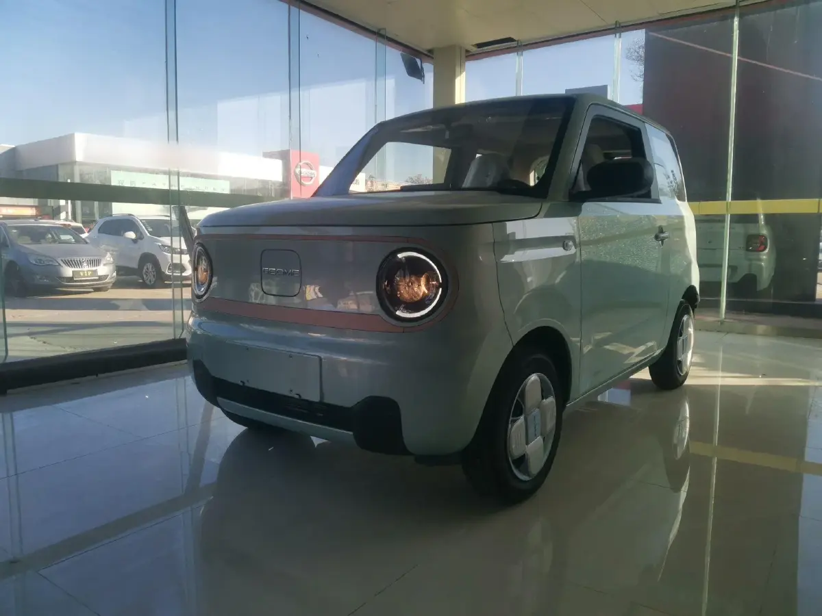 2024 Geely Panda BEV 17.03KWH