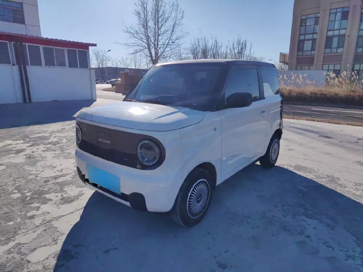 2024 Geely Panda BEV 17.03KWH