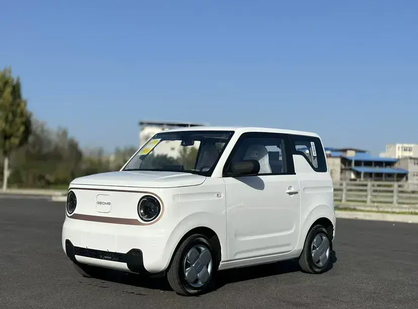 2024 Geely Panda BEV 17.03KWH