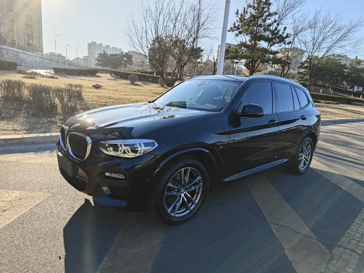 2018 BMW X3 2.0T 252HP L4 8AT