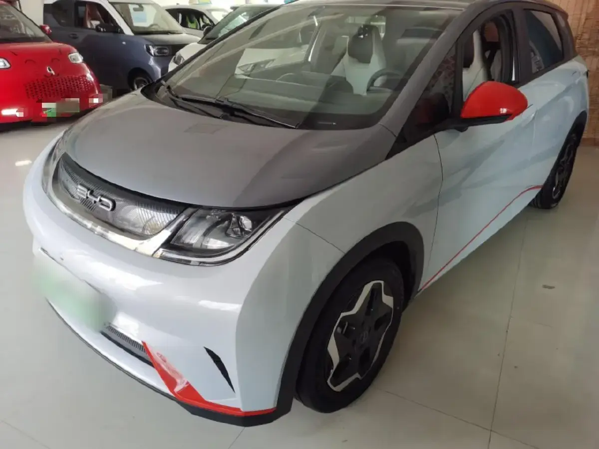 2021 BYD Dolphin BEV 44.9KWH