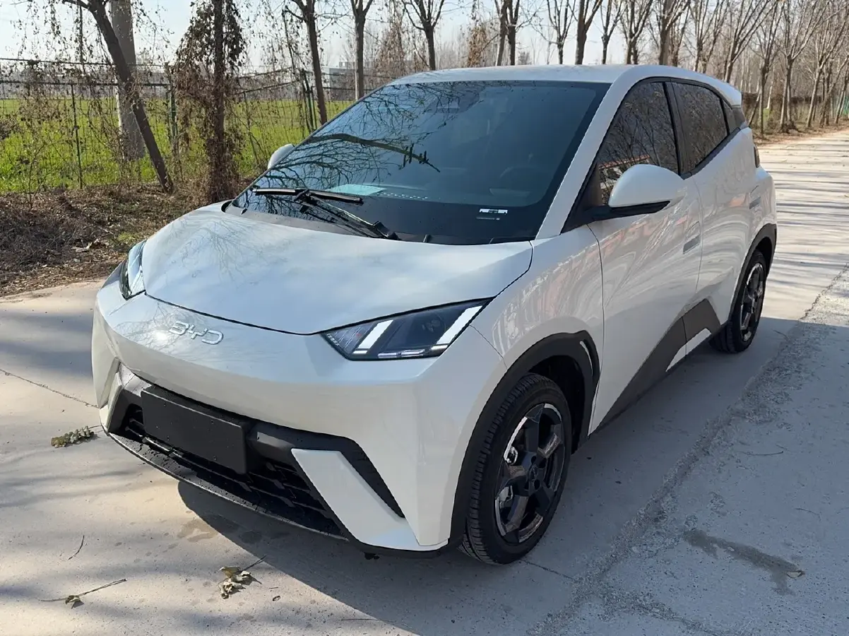 2024 BYD Seagull BEV 38.88KWH