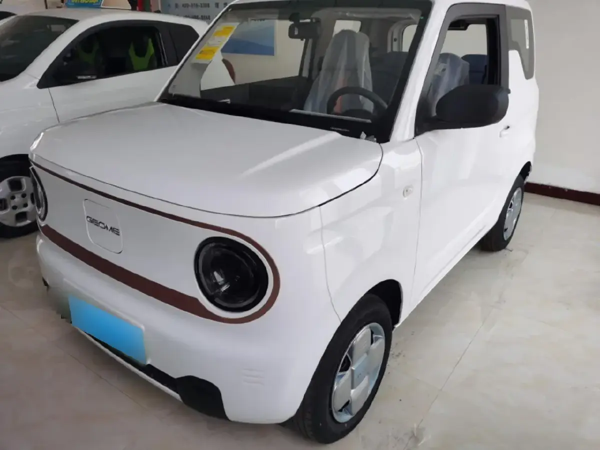 2024 Geely Panda BEV 17.03KWH