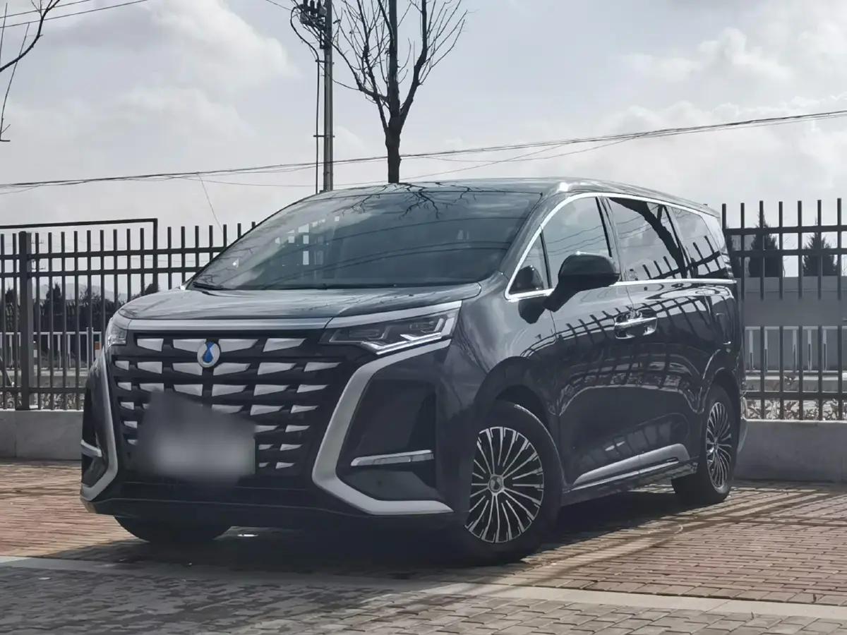 2022 Denza D9 1.5T 139HP L4 E-CVT PHEV 40.06KWH