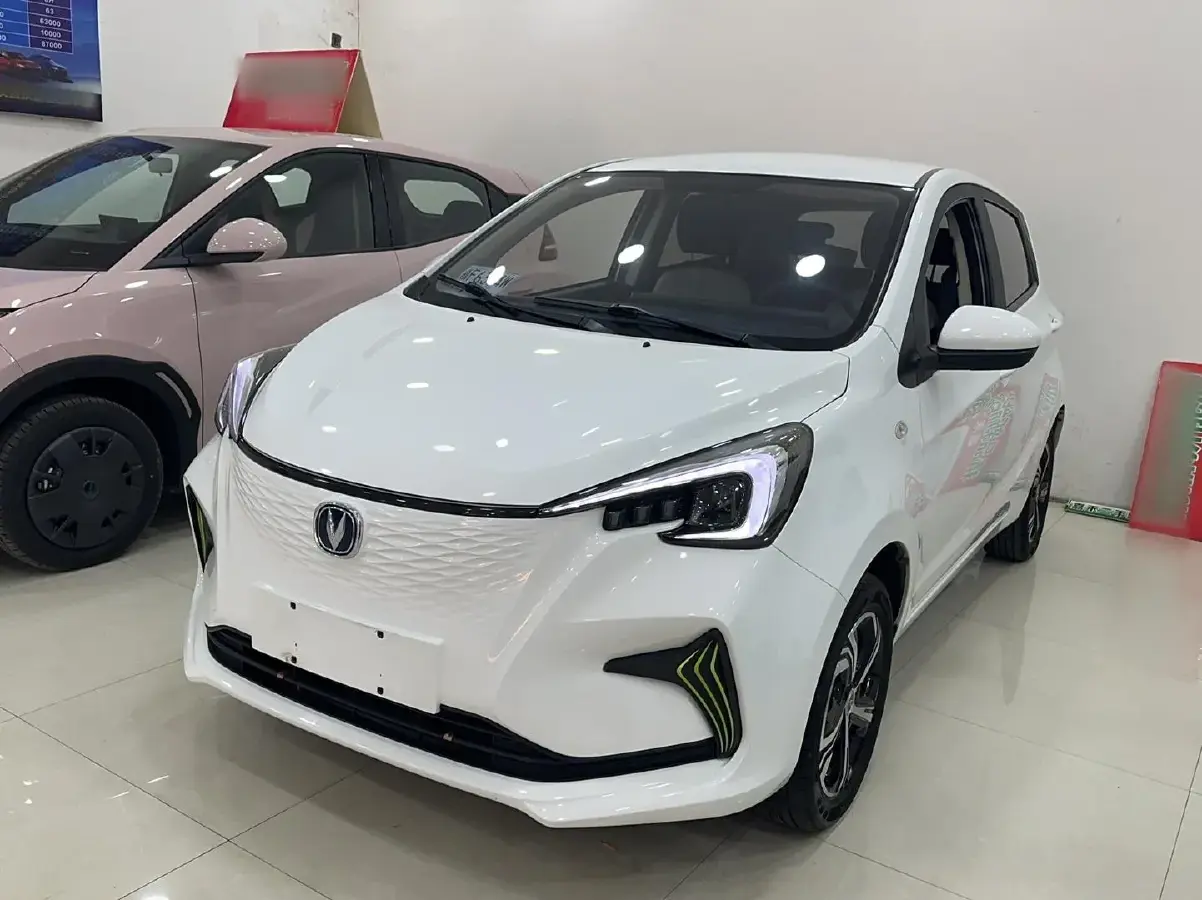 2022 ChangAn BenBen E-Star BEV 31.95KWH