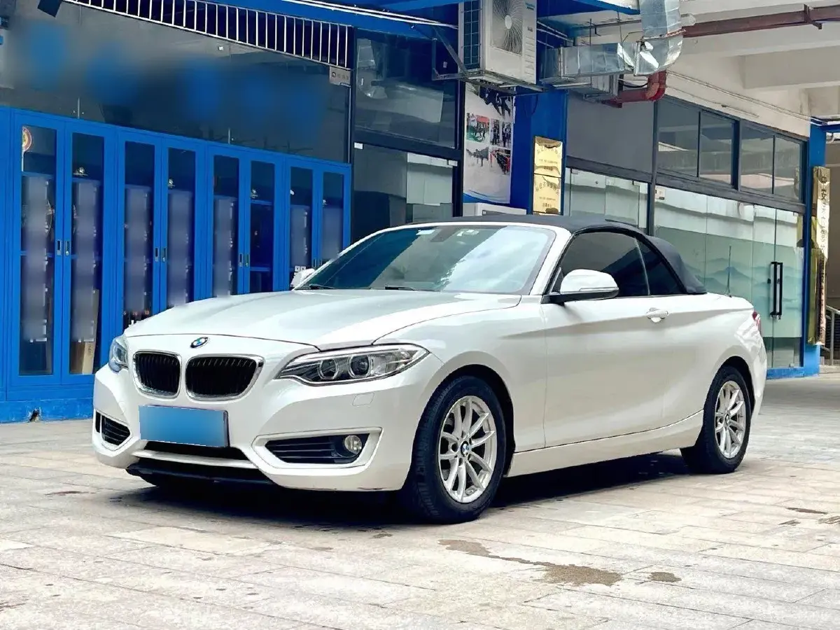 2015 BMW 2 Series 1.5T 136HP L3 8AT
