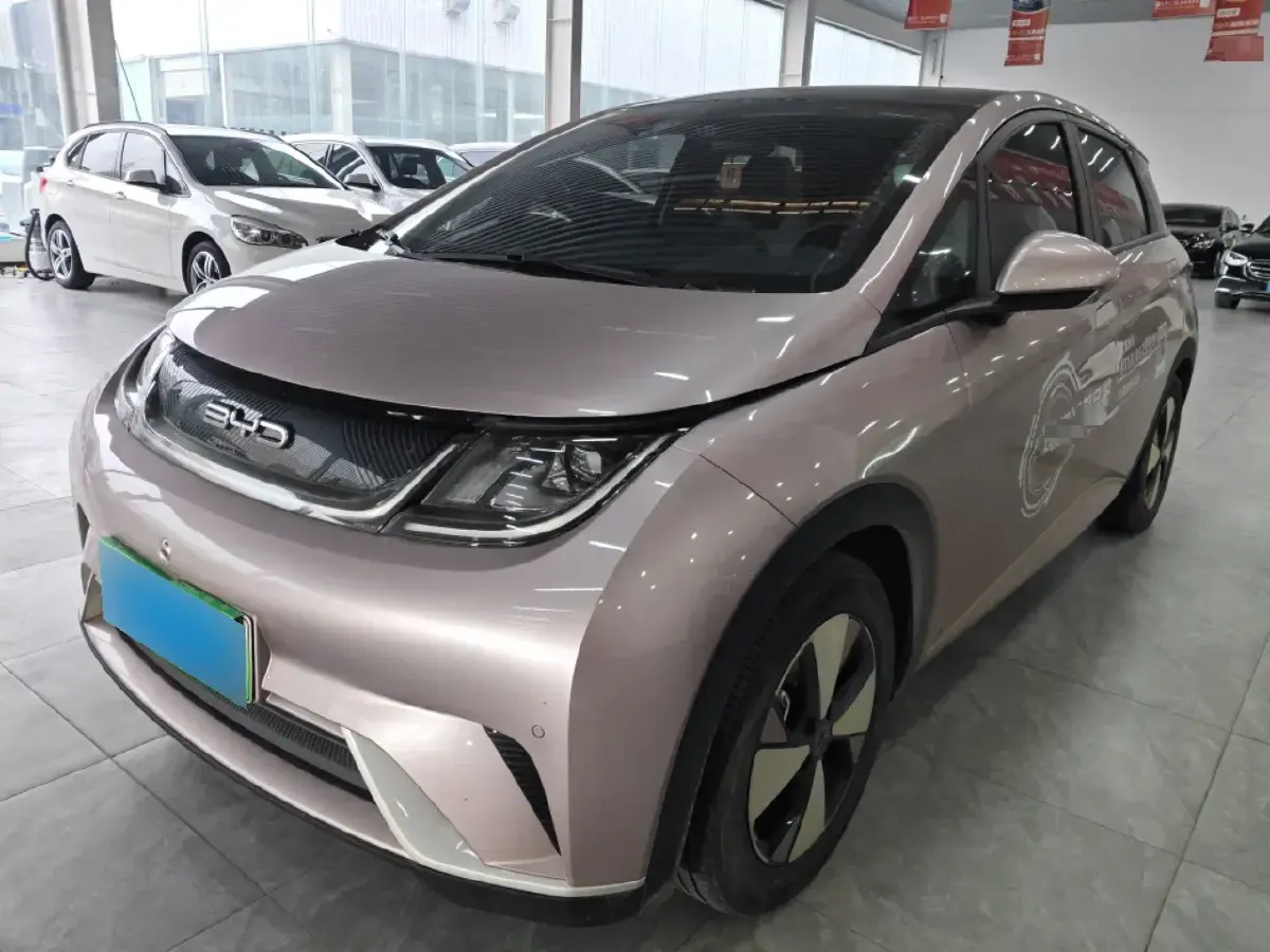 2023 BYD Dolphin BEV 44.928KWH