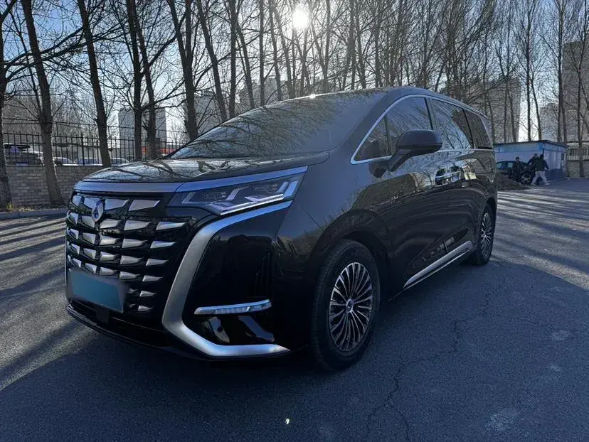 2022 Denza D9 1.5T 139HP L4 E-CVT PHEV 40.06KWH