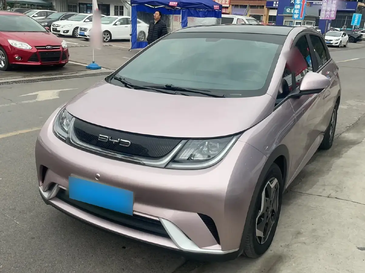 2021 BYD Dolphin BEV 44.9KWH