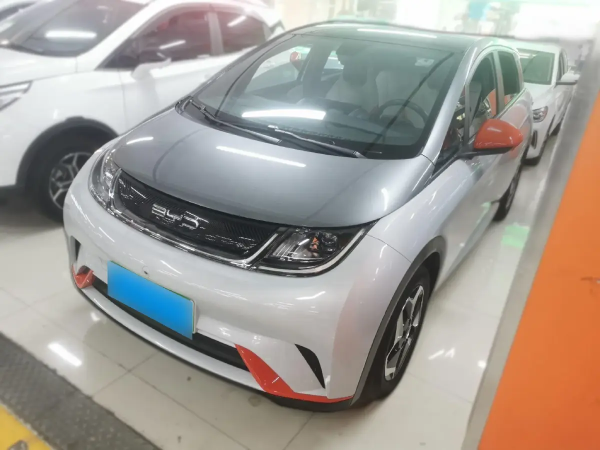 2021 BYD Dolphin BEV 44.9KWH