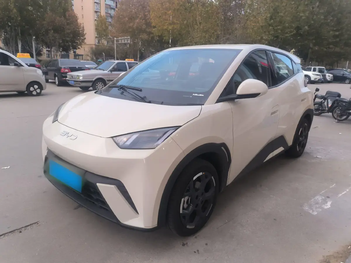 2025 BYD Seagull BEV 30.08KWH