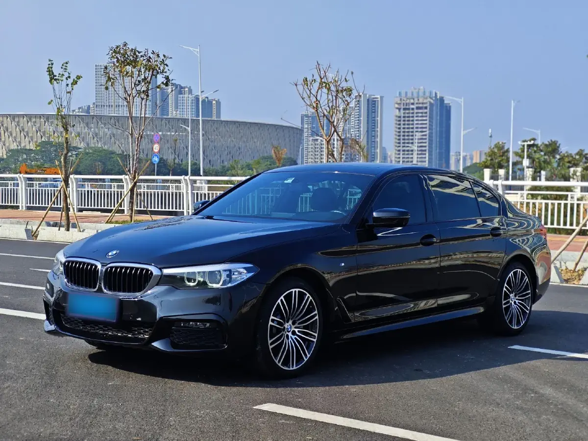 2019 BMW 5 Series 2.0T 252HP L4 8AT