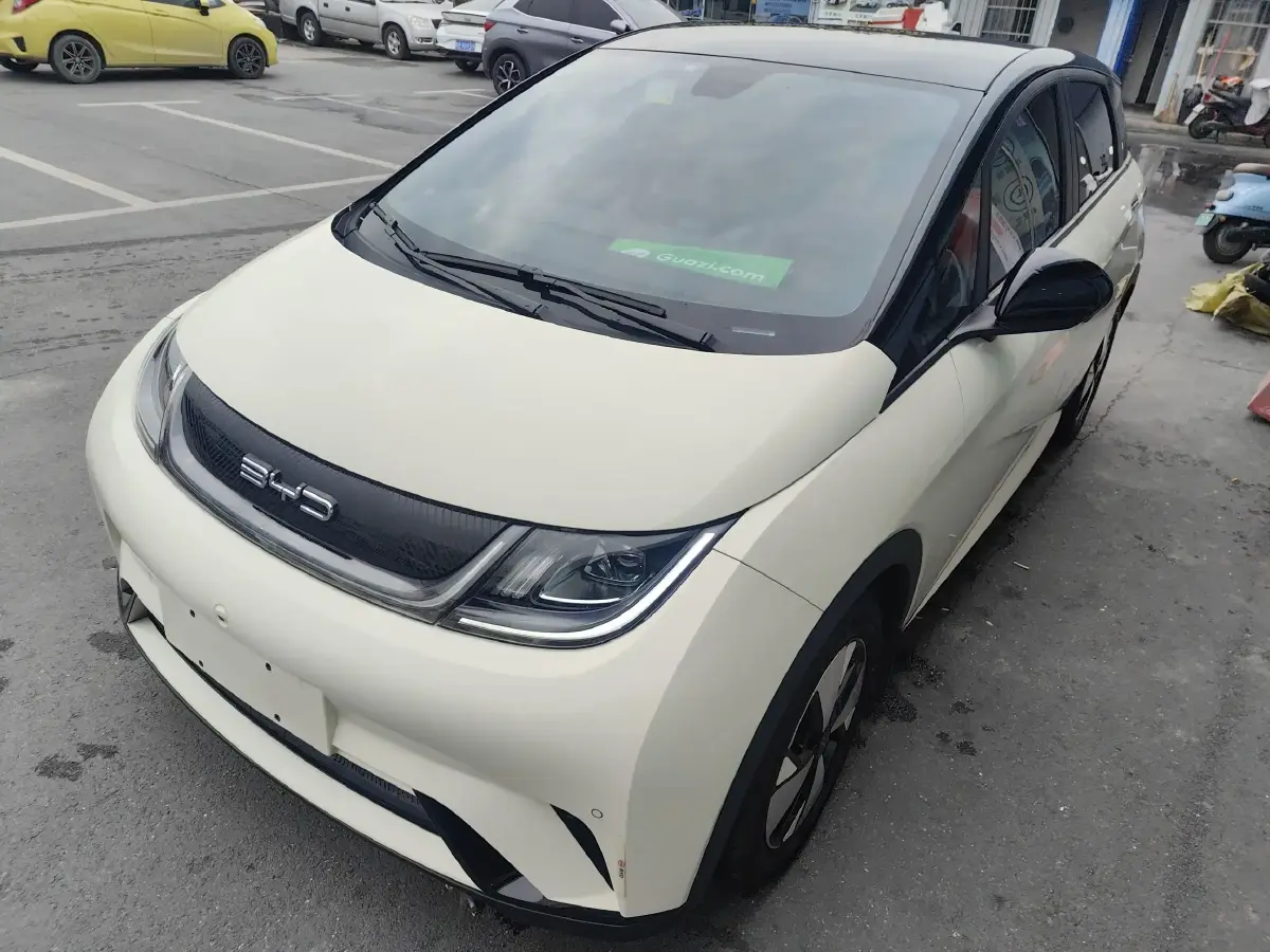 2023 BYD Dolphin BEV 44.928KWH