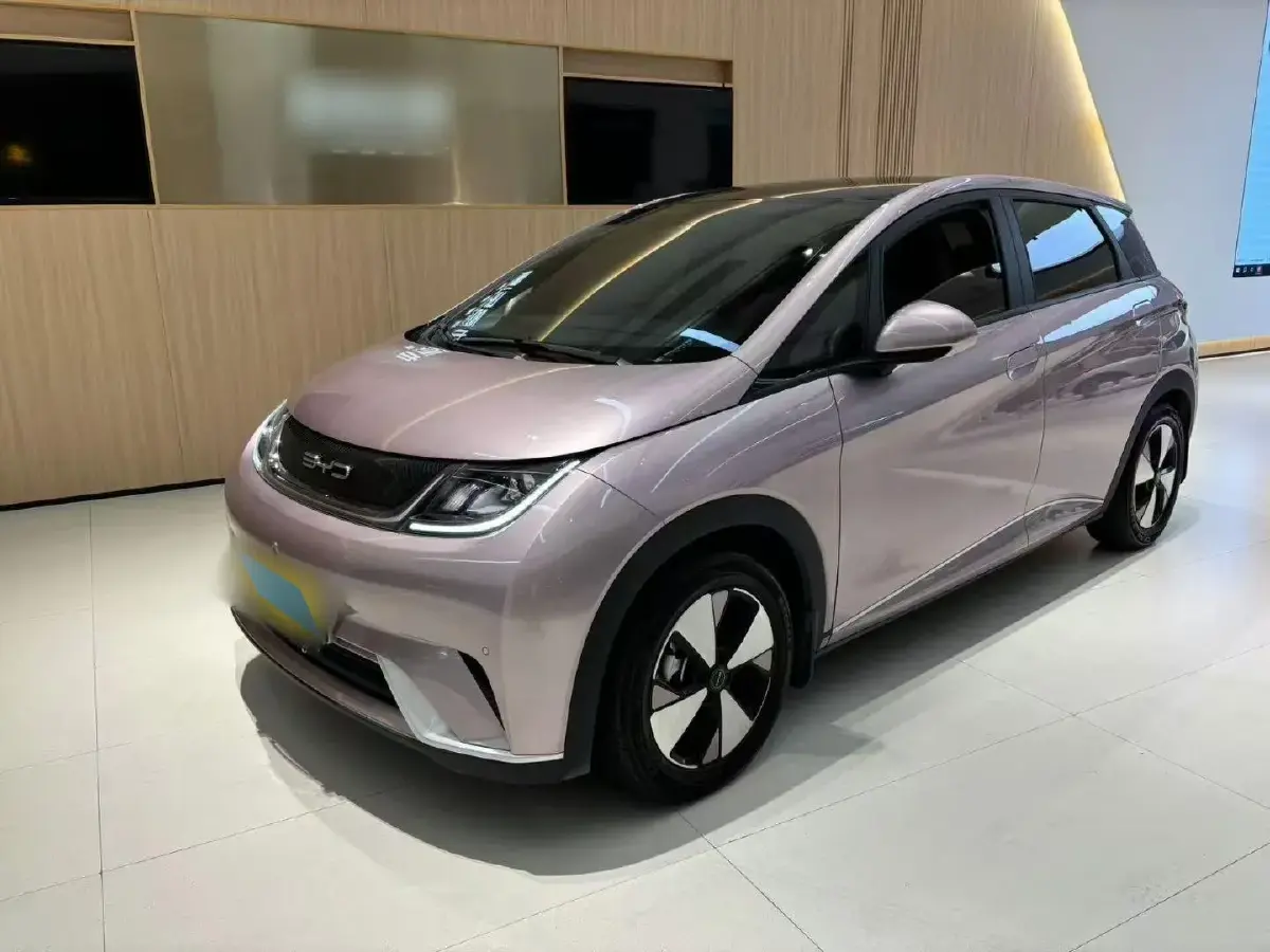 2023 BYD Dolphin BEV 44.928KWH
