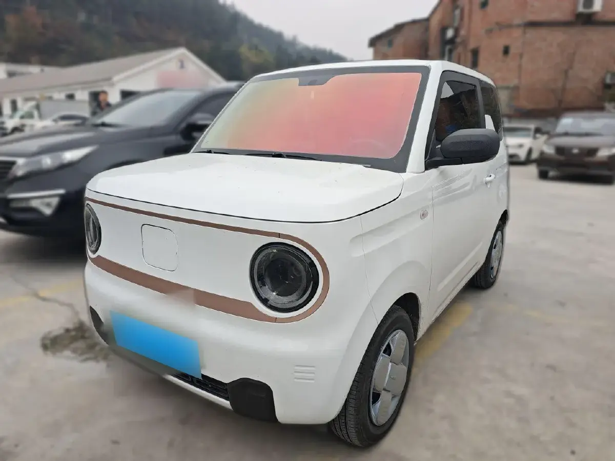 2024 Geely Panda BEV 17.03KWH