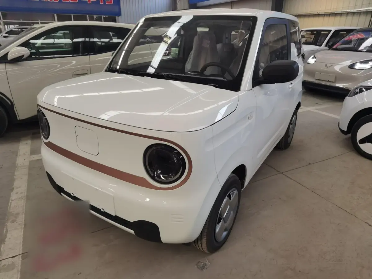2024 Geely Panda BEV 17.03KWH