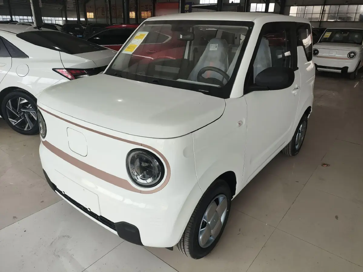 2024 Geely Panda BEV 17.03KWH