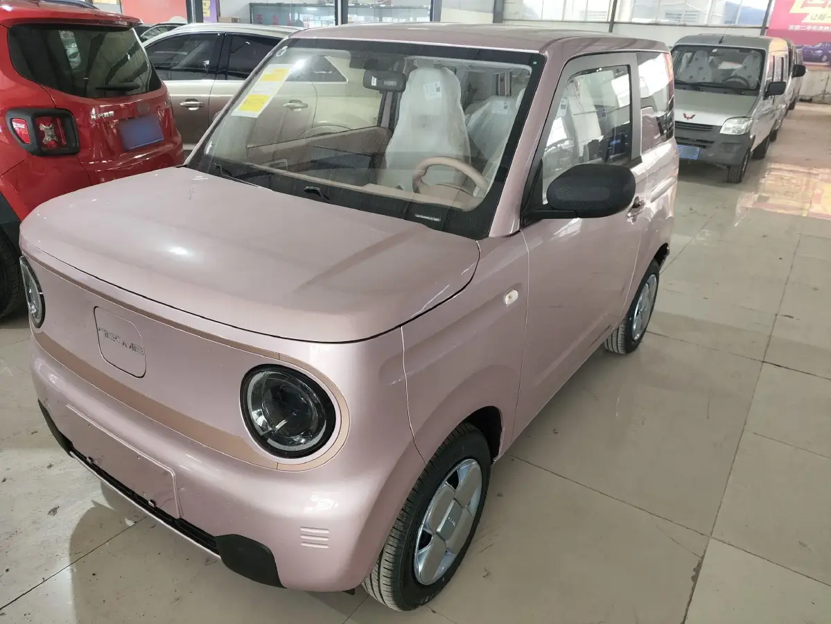 2024 Geely Panda BEV 17.03KWH