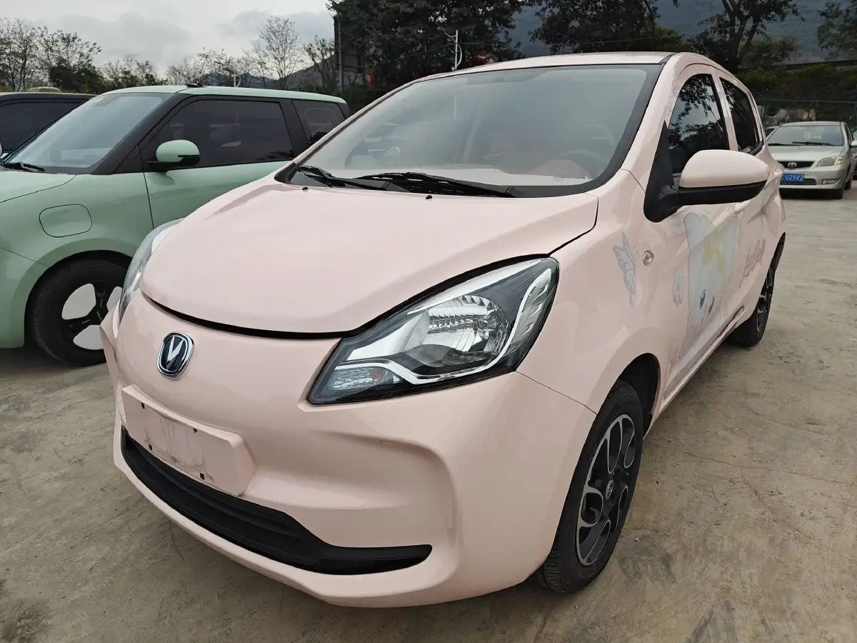 2021 ChangAn BenBen E-Star BEV 31.86KWH