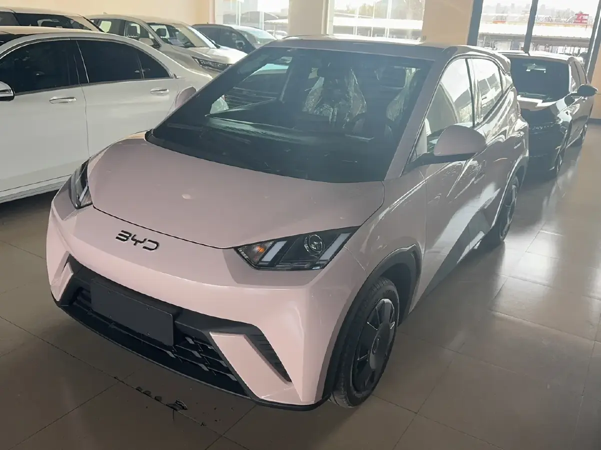 2025 BYD Seagull BEV 30.08KWH