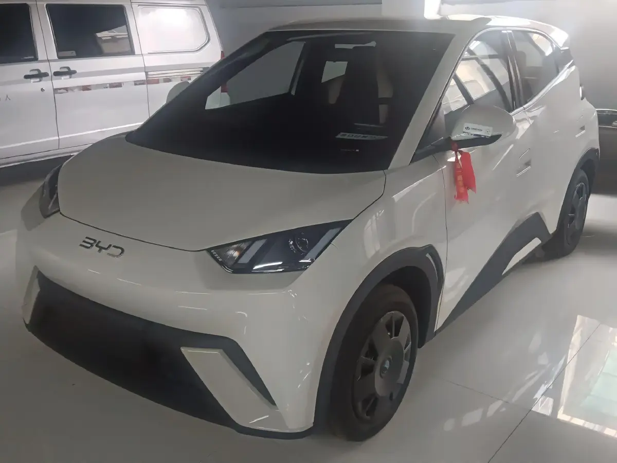 2025 BYD Seagull BEV 30.08KWH