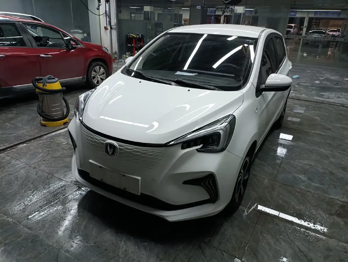 2022 ChangAn BenBen E-Star BEV 31.95KWH