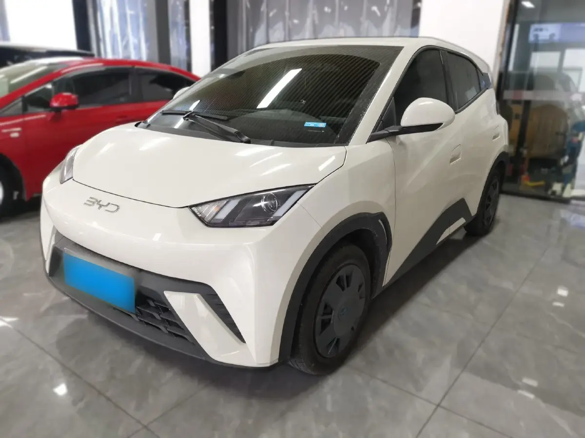 2025 BYD Seagull BEV 30.08KWH