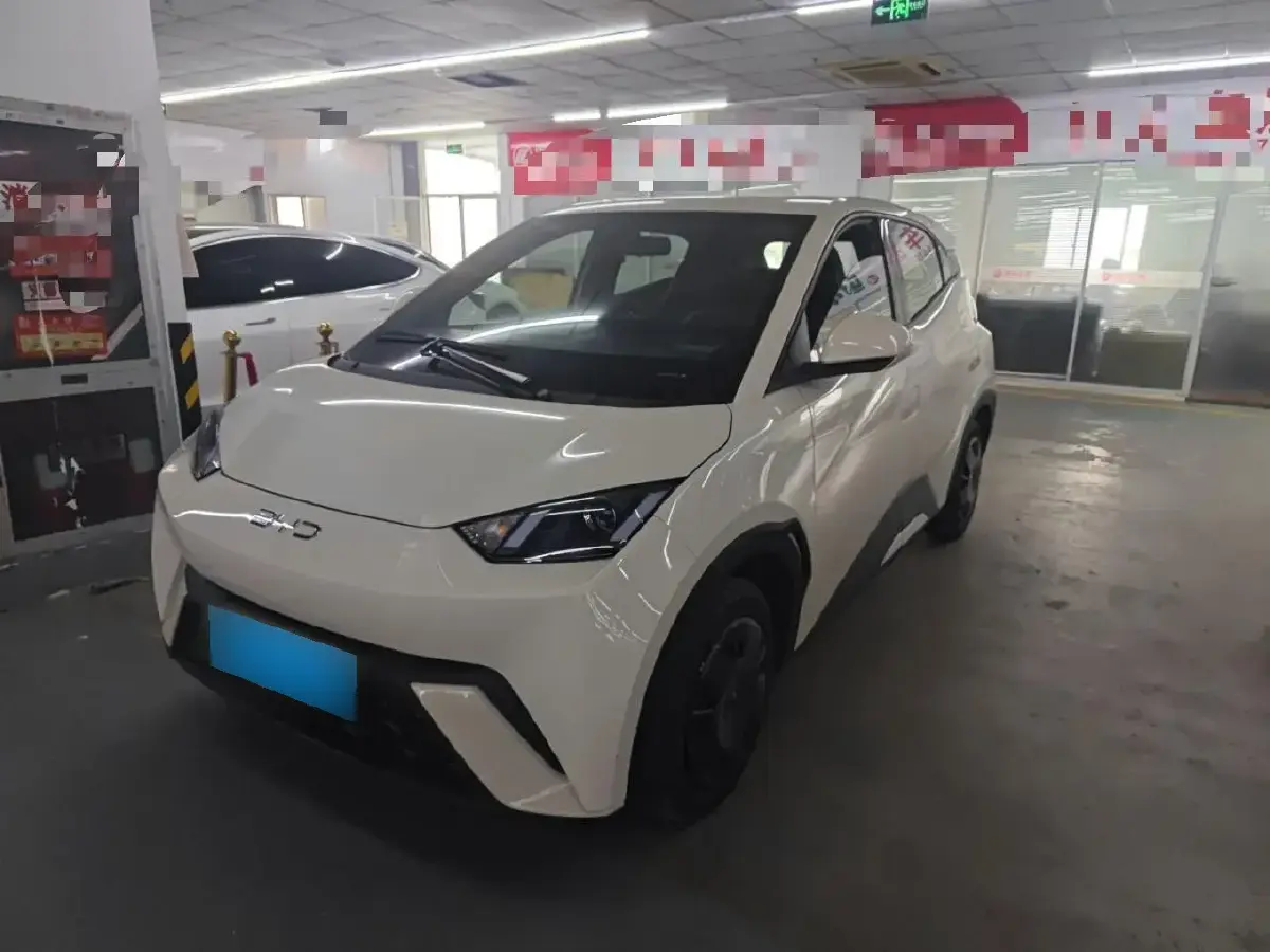 2025 BYD Seagull BEV 30.08KWH