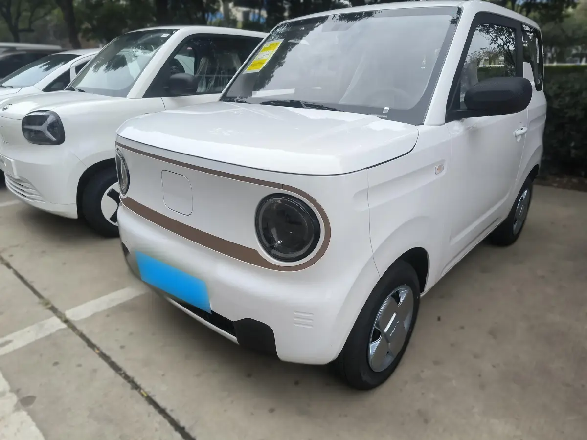2024 Geely Panda BEV 17.03KWH