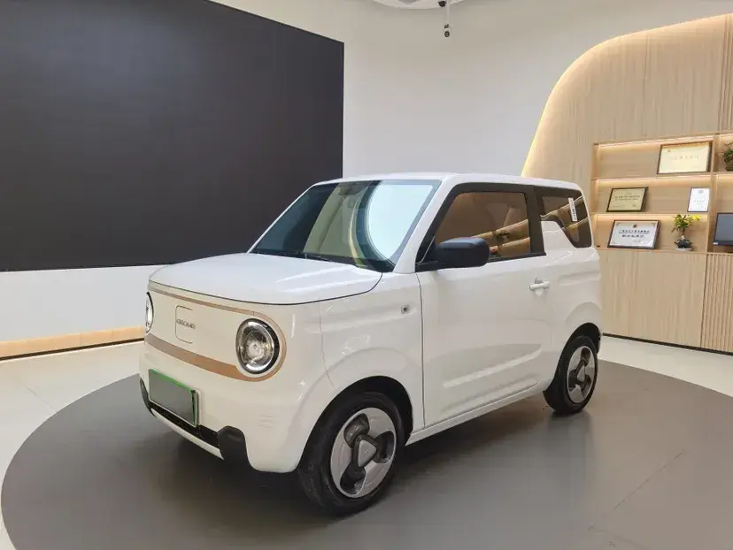 2023 Geely Panda BEV 17.03KWH