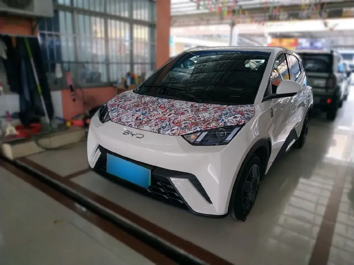 2024 BYD Seagull BEV 30.08KWH