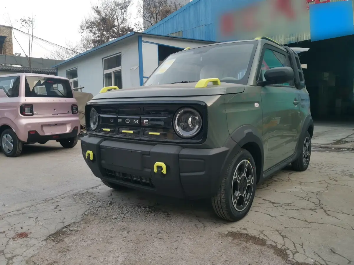 2025 Geely Panda BEV 17.03KWH