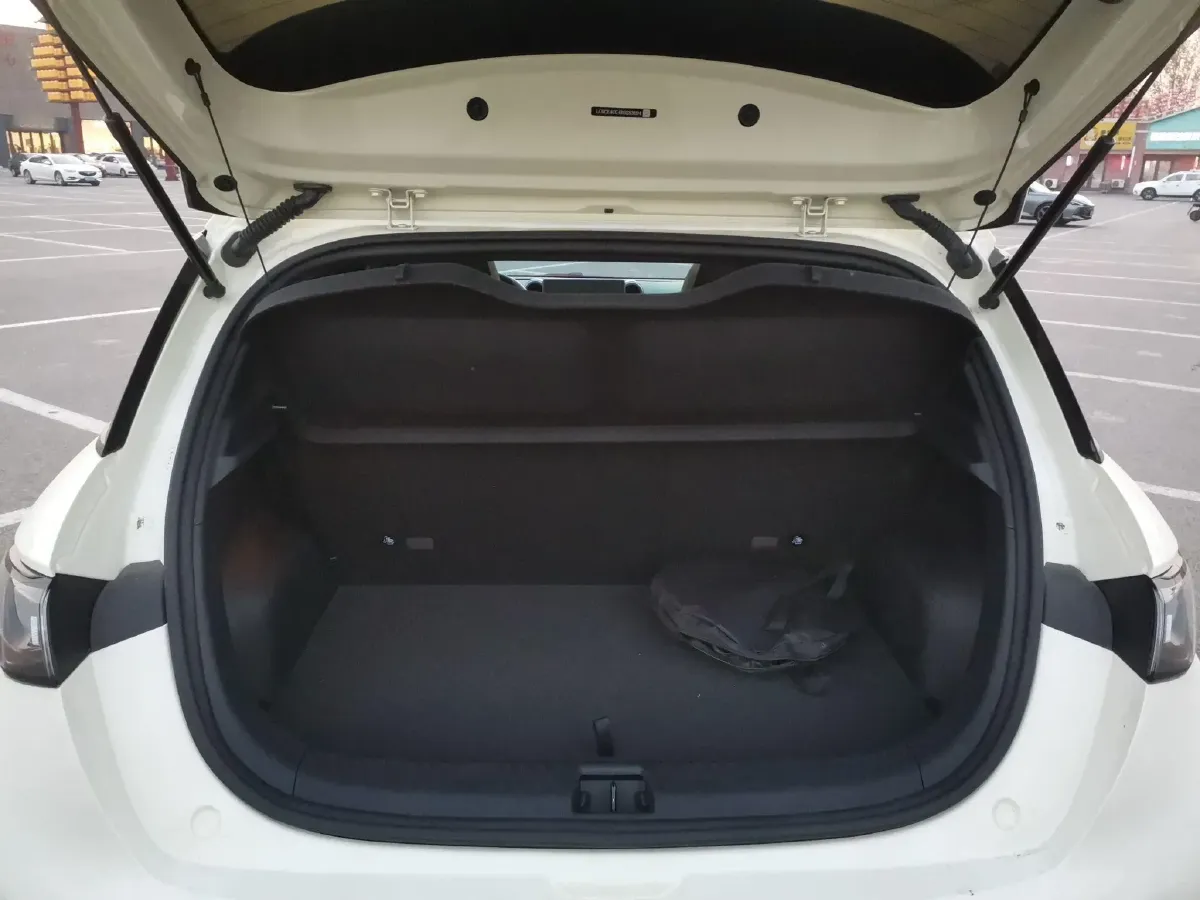 2025 BYD Dolphin BEV 44.928KWH,autocango,china used car exporter,china ev exporter,chinese used car exporter,chinese used ev exporter