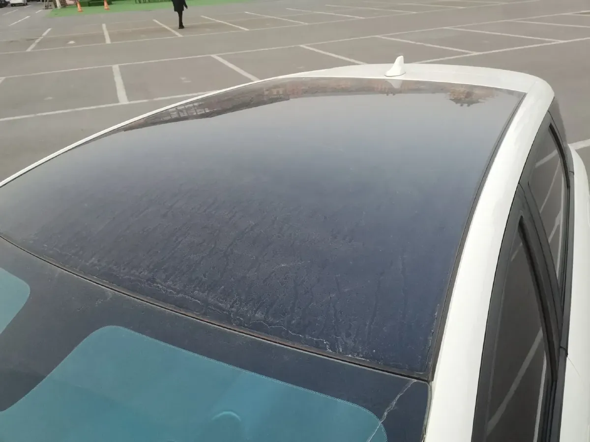 2025 BYD Dolphin BEV 44.928KWH,autocango,china used car exporter,china ev exporter,chinese used car exporter,chinese used ev exporter