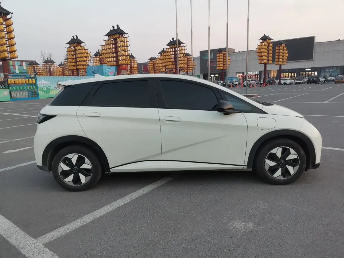 2025 BYD Dolphin BEV 44.928KWH,autocango,china used car exporter,china ev exporter,chinese used car exporter,chinese used ev exporter