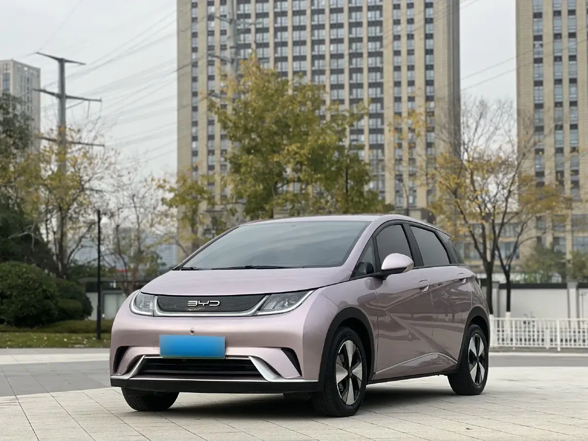 2023 BYD Dolphin BEV 44.928KWH