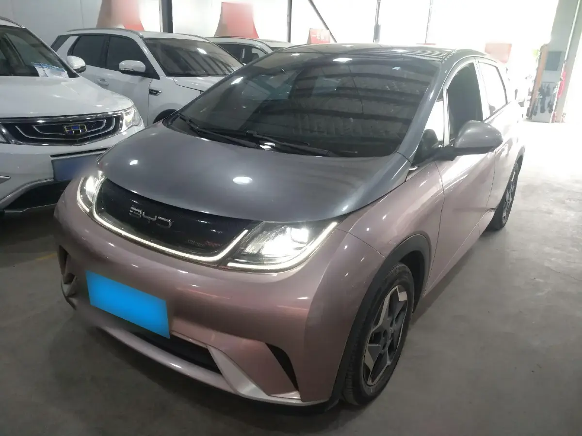 2021 BYD Dolphin BEV 44.9KWH