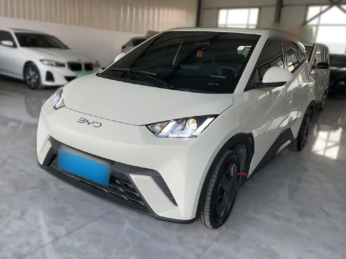 2025 BYD Seagull BEV 30.08KWH