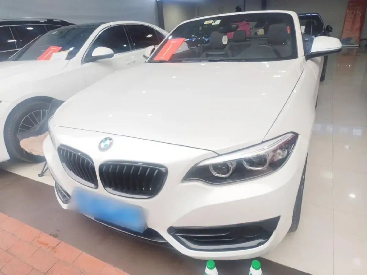 2019 BMW 2 Series 2.0T 184HP L4 8AT