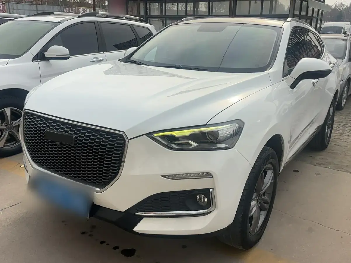 2018 Haval F5 1.5T 169HP L4 7DCT
