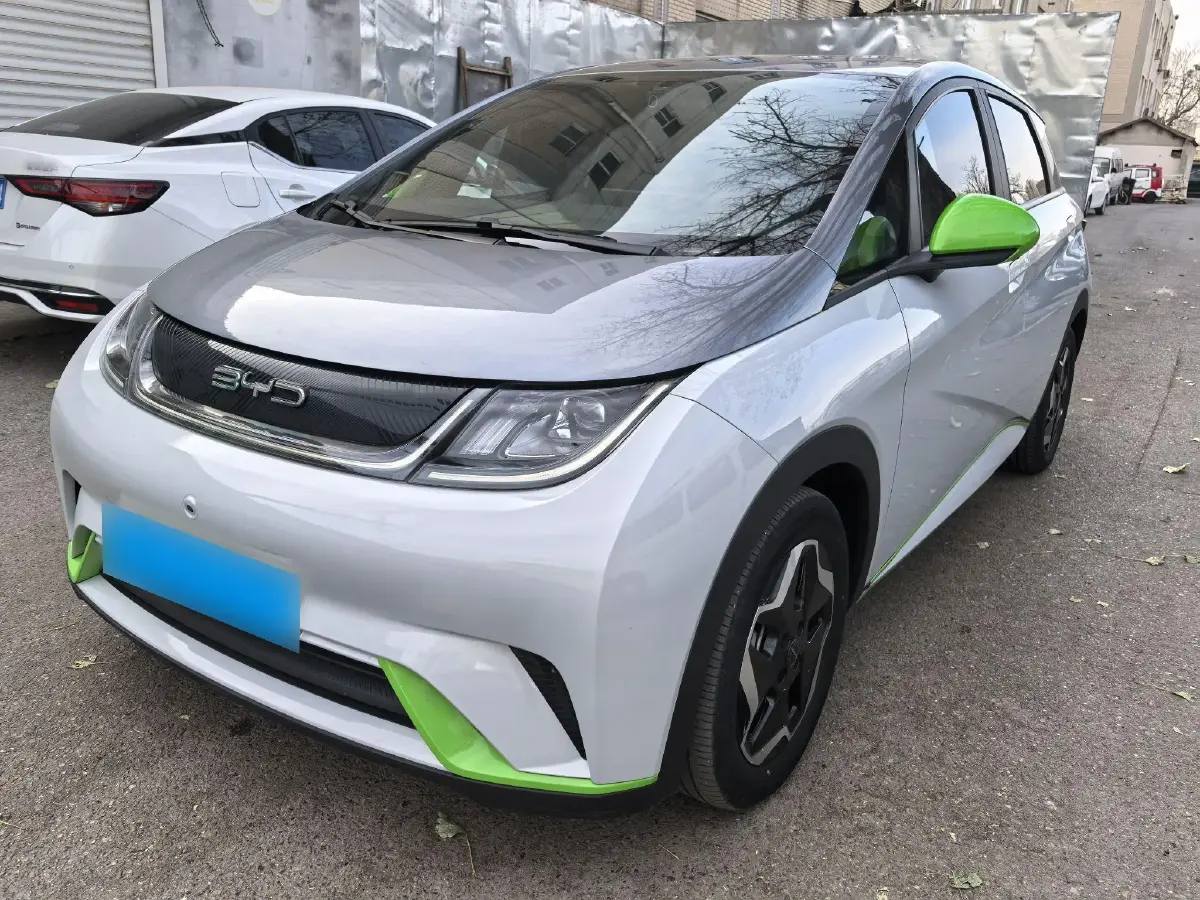 2021 BYD Dolphin BEV 44.9KWH