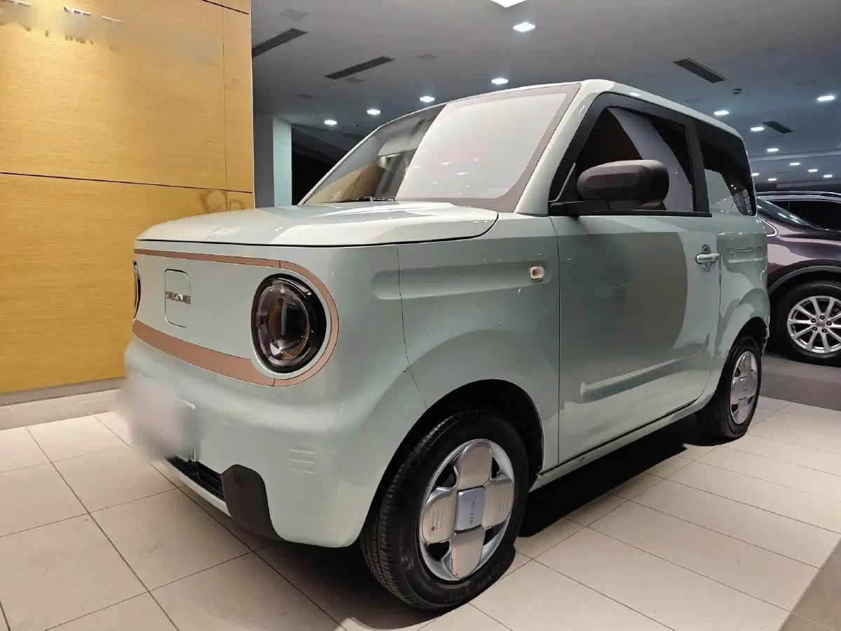 2023 Geely Panda BEV 17.03KWH