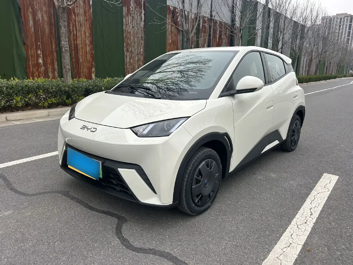 2025 BYD Seagull BEV 30.08KWH