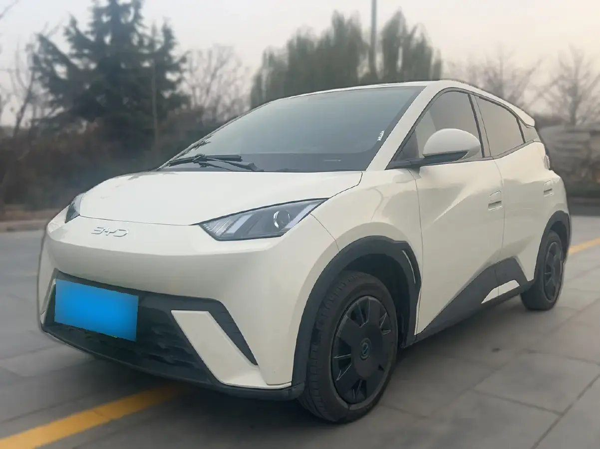 2025 BYD Seagull BEV 30.08KWH