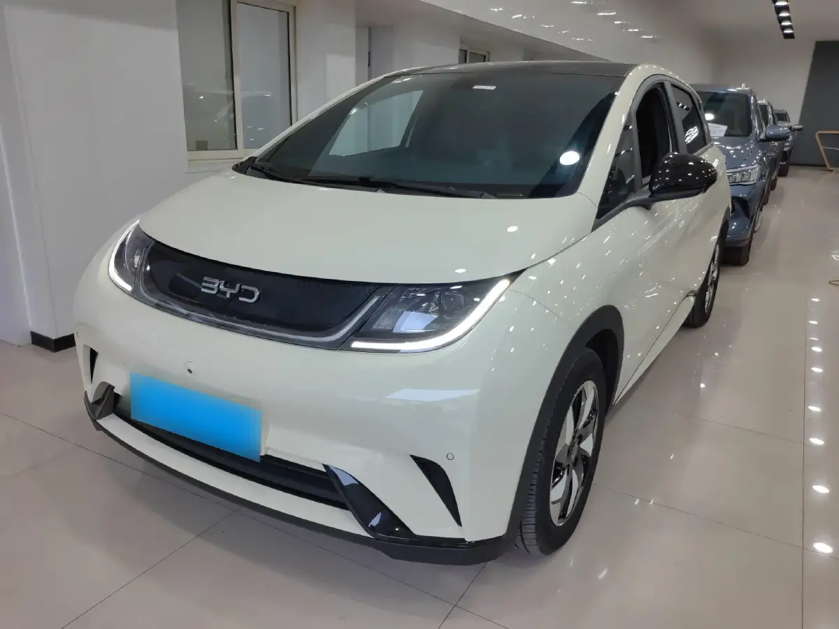 2024 BYD Dolphin BEV 44.928KWH