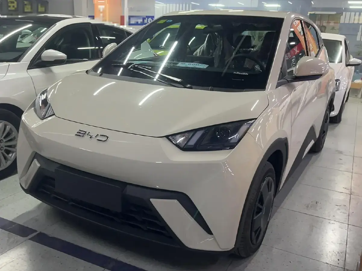 2025 BYD Seagull BEV 30.08KWH