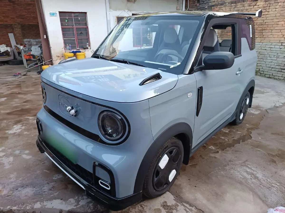 2024 Geely Panda BEV 17.03KWH