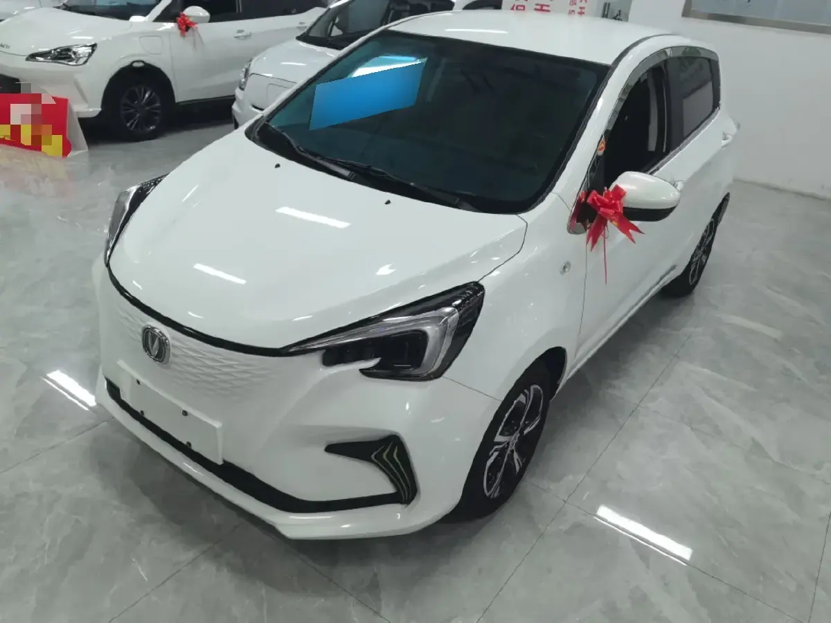 2020 ChangAn BenBen E-Star BEV 32.2KWH