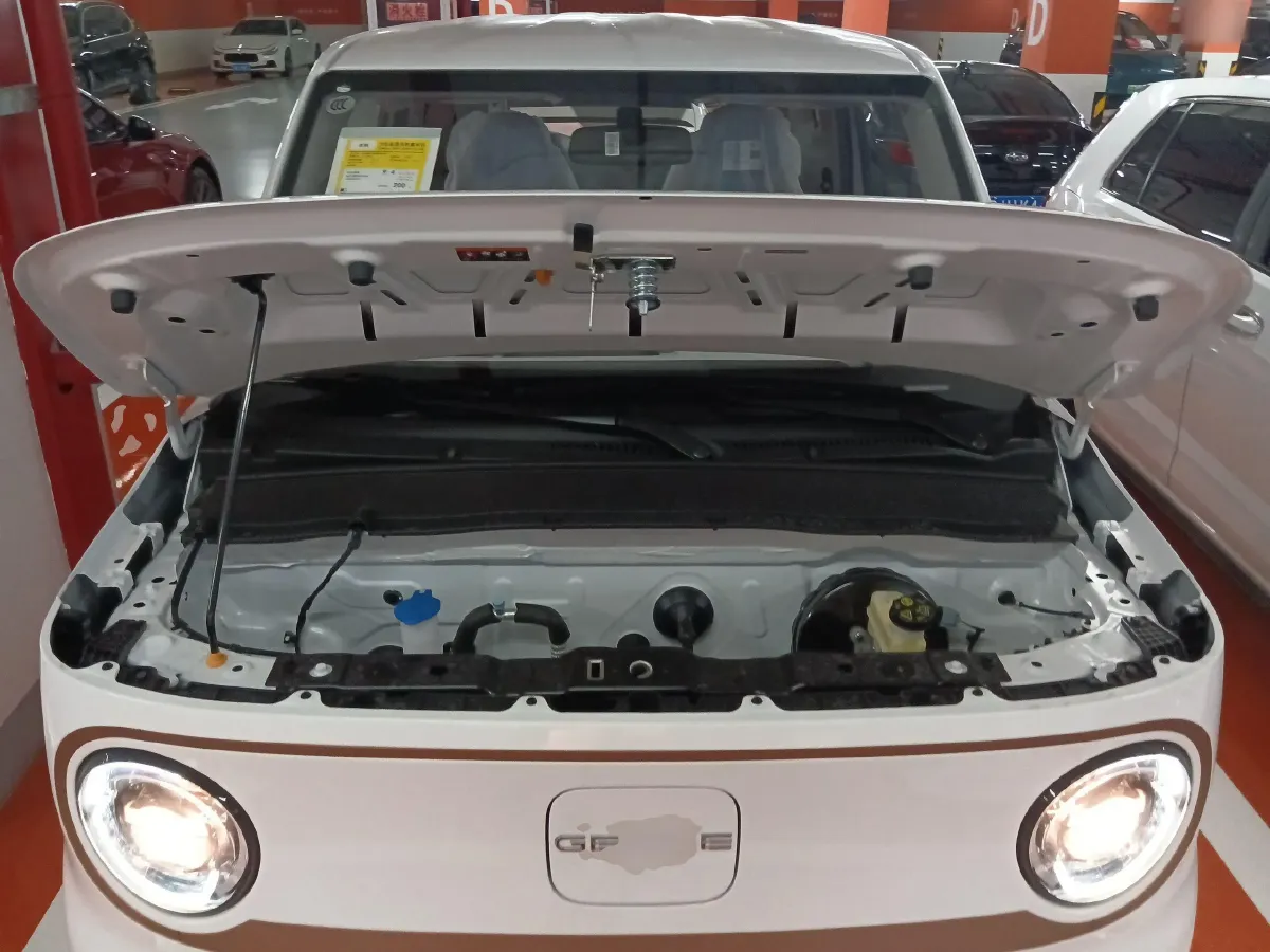 2024 Geely Panda BEV 17.03KWH,autocango,china used car exporter,china ev exporter,chinese used car exporter,chinese used ev exporter