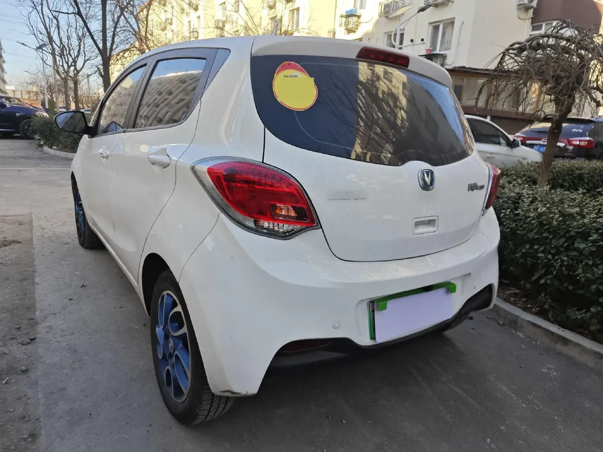 2019 ChangAn BenBen EV BEV,autocango,china used car exporter,china ev exporter,chinese used car exporter,chinese used ev exporter